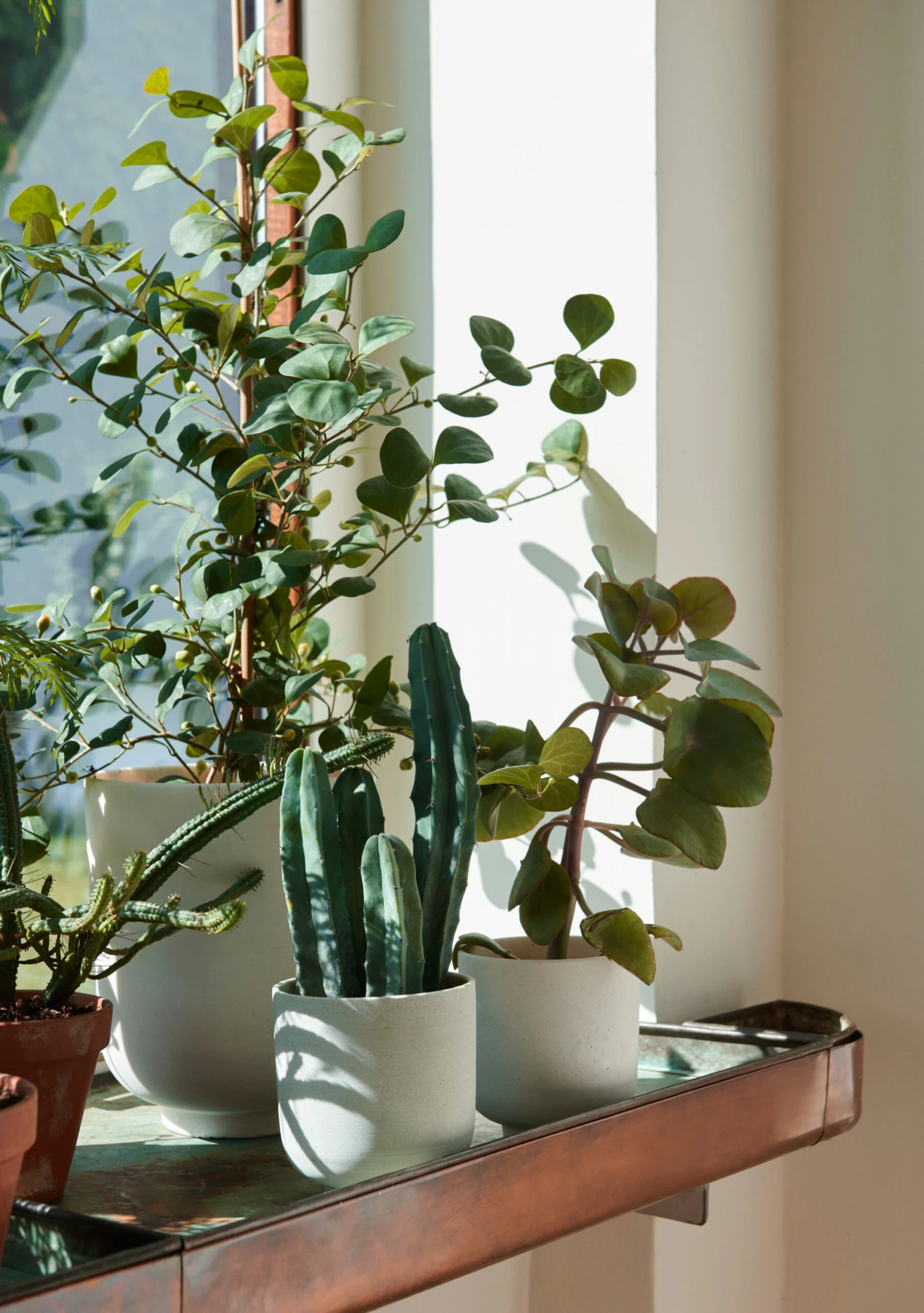 &Tradition Collect SC72 Bloempot Tall Ø20 Cm 2 &Tradition Collect SC72 Bloempot Tall Ø20 Cm - Afbeelding 2