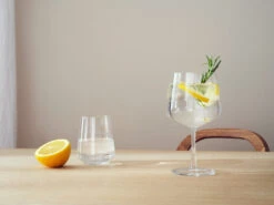 Iittala Essence Gin & Cocktailglas 4-pack -Beste Meubel Winkel 574599 01 41 EnvironmentImage 2daae4939b